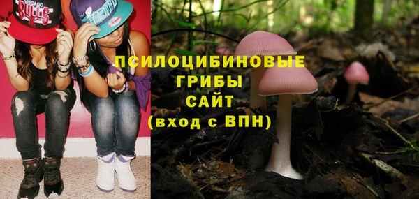 гидропоника Абаза