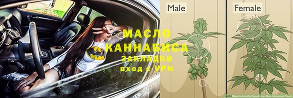 эйфоретик Няндома