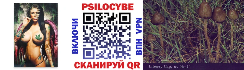 купить наркотик  Алейск  Псилоцибиновые грибы Magic Shrooms 